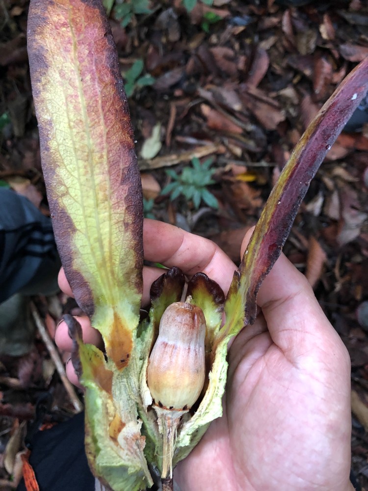 Seeding Future, photo credit: Keting Chen