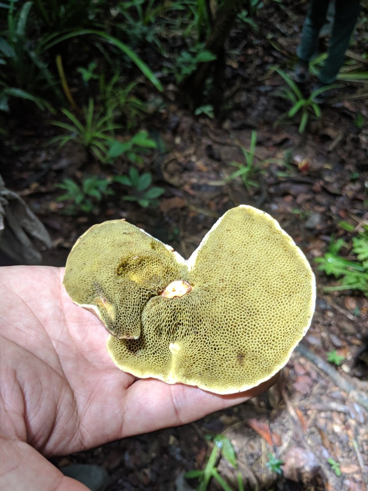 Seeding Future, photo credit: Yipei Lee