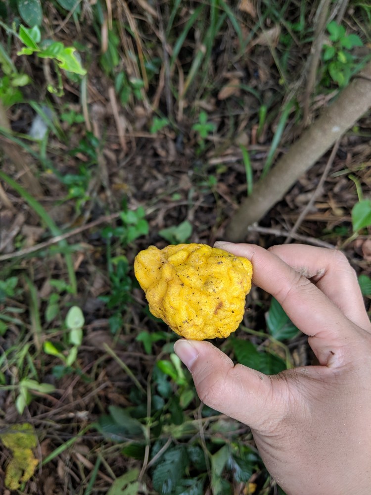 Seeding Future, photo credit: Yipei Lee