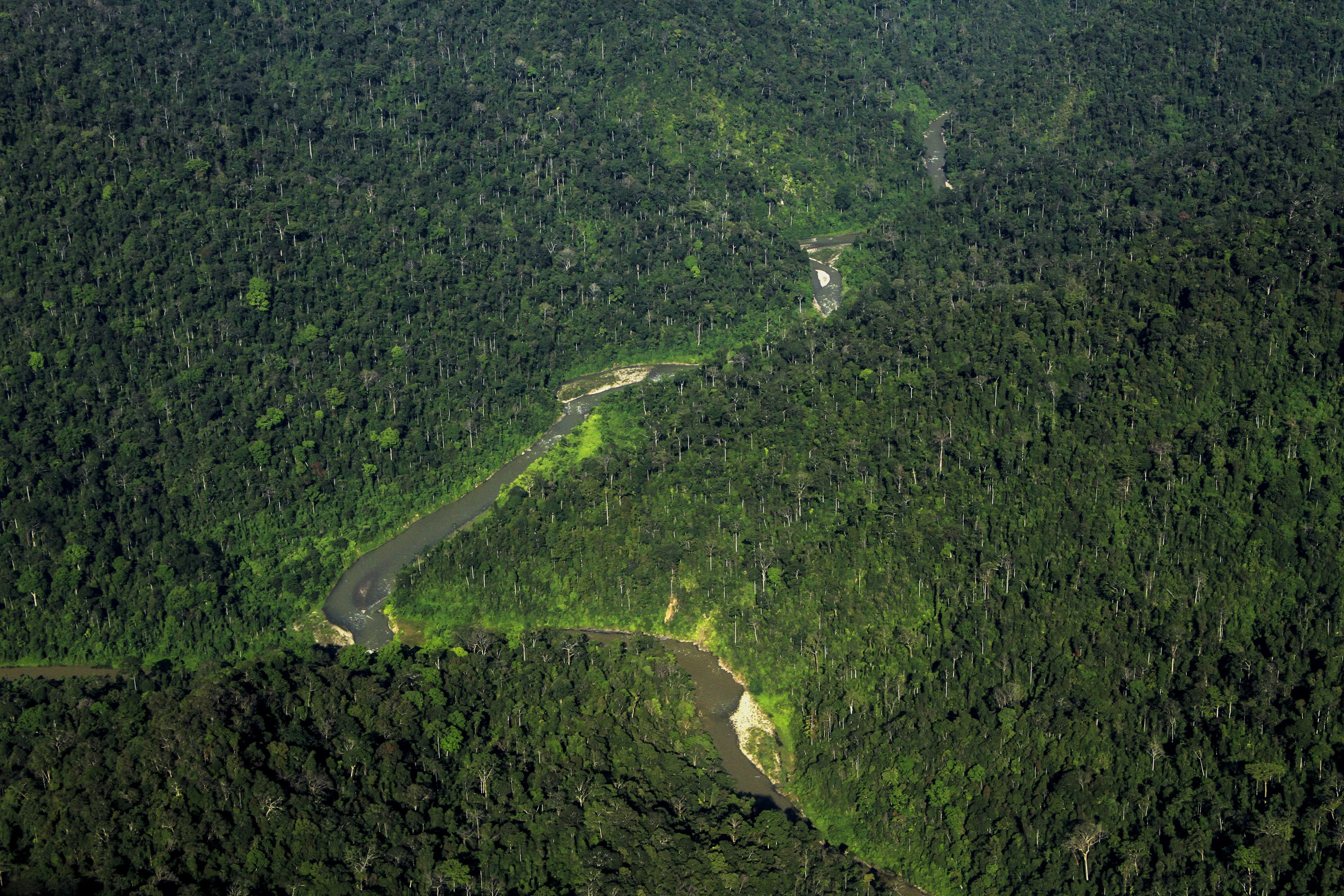 Forest and river landscape in the Leuser ecosystem｜©Junaidi Hanafiah/FKL